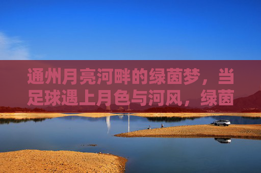 通州月亮河畔的绿茵梦，当足球遇上月色与河风，绿茵梦遇月色河风，通州月亮河畔足球夜