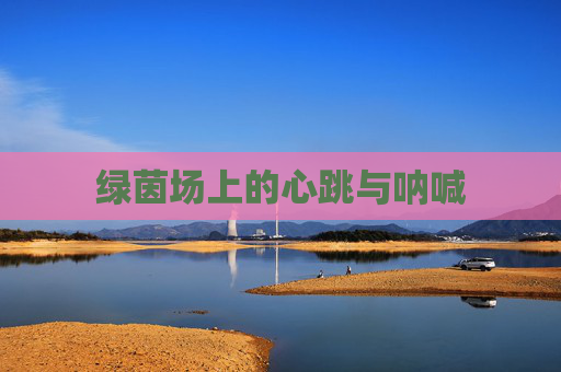 绿茵场上的心跳与呐喊