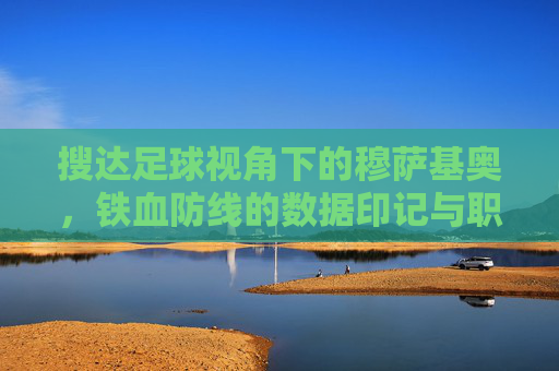 搜达足球视角下的穆萨基奥，铁血防线的数据印记与职业坚守