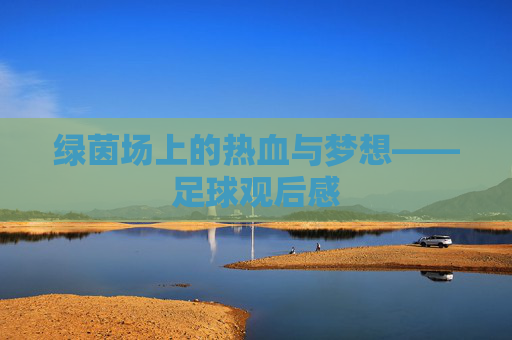 绿茵场上的热血与梦想——足球观后感