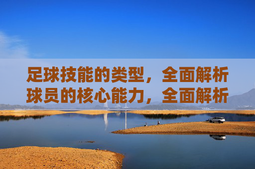 足球技能的类型，全面解析球员的核心能力，全面解析，足球技能类型与球员核心能力