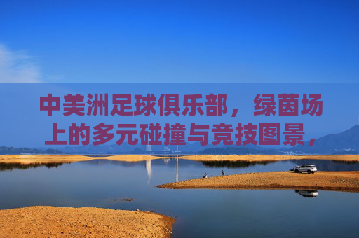 中美洲足球俱乐部，绿茵场上的多元碰撞与竞技图景，中美洲足球俱乐部，绿茵场多元碰撞竞技图景