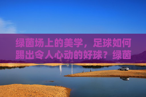 绿茵场上的美学，足球如何踢出令人心动的好球？绿茵场上的美学，足球如何踢出心动好球？