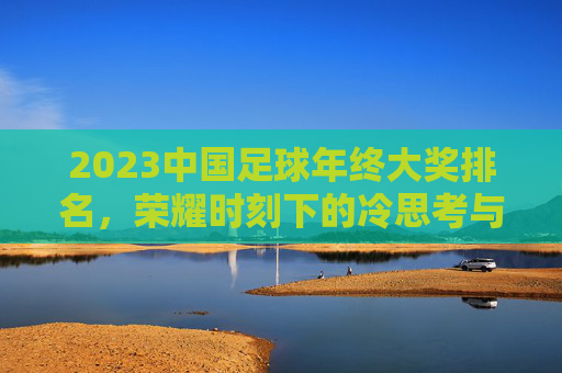 2023中国足球年终大奖排名，荣耀时刻下的冷思考与热期待，2023中国足球年终大奖，荣耀时刻的冷思热盼