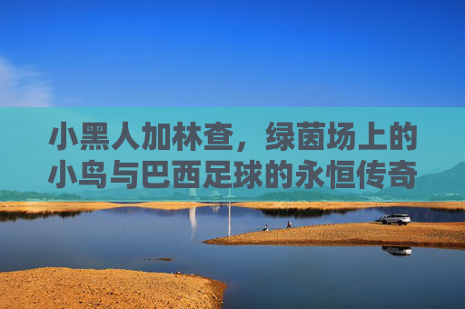 小黑人加林查,绿茵场上的小鸟与巴西足球的永恒传奇,绿茵小鸟,加林查与巴西足球的永恒传奇 小黑人加林查,绿茵场上的小鸟与巴西足球的永恒传奇,绿茵小鸟,加林查与巴西足球的永恒传奇