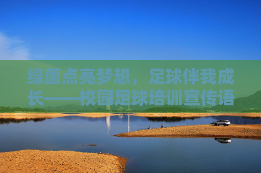绿茵点亮梦想，足球伴我成长——校园足球培训宣传语录集，绿茵点亮梦想，足球伴我成长