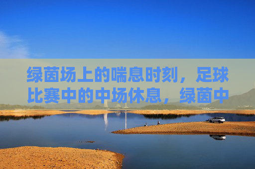 绿茵场上的喘息时刻，足球比赛中的中场休息，绿茵中场，足球比赛的喘息时刻