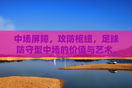 中场屏障，攻防枢纽，足球防守型中场的价值与艺术，中场屏障与攻防枢纽，防守型中场的价值与艺术