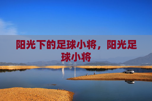 阳光下的足球小将，阳光足球小将