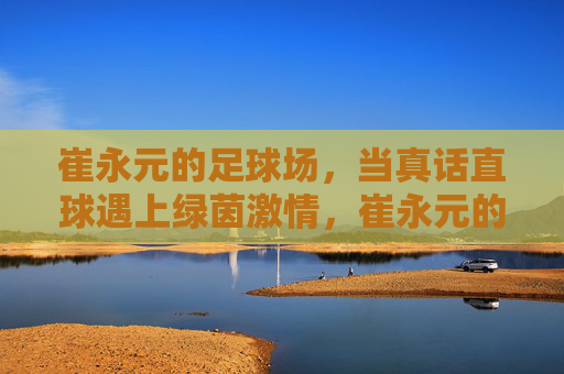 崔永元的足球场，当真话直球遇上绿茵激情，崔永元的足球场，真话直球遇上绿茵激情