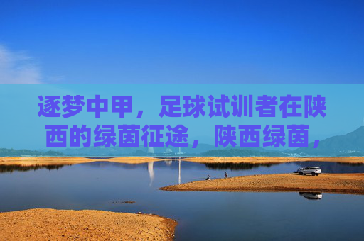 逐梦中甲，足球试训者在陕西的绿茵征途，陕西绿茵，中甲试训者的逐梦征途