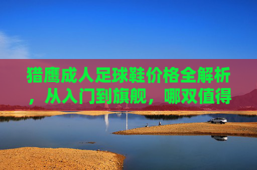 猎鹰成人足球鞋价格全解析，从入门到旗舰，哪双值得入手？猎鹰成人足球鞋价格全解析，入门到旗舰哪双值得入手？