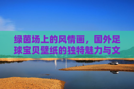 绿茵场上的风情画，国外足球宝贝壁纸的独特魅力与文化视角，国外足球宝贝壁纸，绿茵风情与文化视角