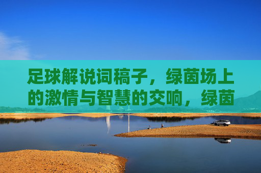 足球解说词稿子，绿茵场上的激情与智慧的交响，绿茵场，激情与智慧的足球交响
