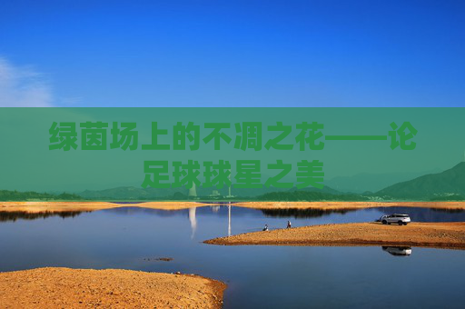 绿茵场上的不凋之花——论足球球星之美