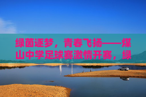 绿茵逐梦，青春飞扬——煤山中学足球赛激情开赛，绿茵逐梦，青春飞扬——煤山中学足球赛激情开赛