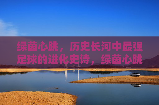 绿茵心跳，历史长河中最强足球的进化史诗，绿茵心跳，最强足球的进化史诗