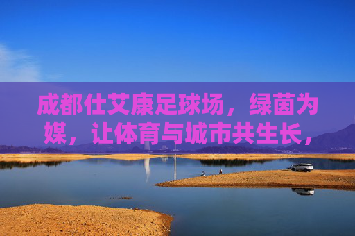 成都仕艾康足球场，绿茵为媒，让体育与城市共生长，绿茵为媒，体城共生长
