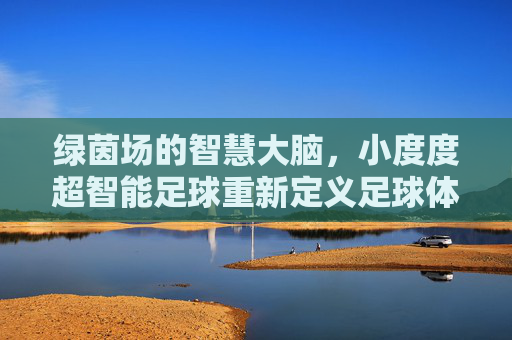 绿茵场的智慧大脑，小度度超智能足球重新定义足球体验，小度度超智能足球，绿茵场智慧，重定义足球体验