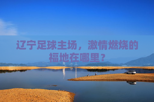 辽宁足球主场，激情燃烧的福地在哪里？