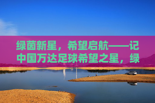 绿茵新星，希望启航——记中国万达足球希望之星，绿茵新星，希望启航——中国万达足球希望之星