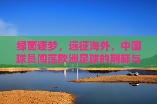 绿茵逐梦,远征海外,中国球员闯荡欧洲足球的荆棘与荣光,逐梦欧洲,中国球员的荆棘与荣光 绿茵逐梦,远征海外,中国球员闯荡欧洲足球的荆棘与荣光,逐梦欧洲,中国球员的荆棘与荣光
