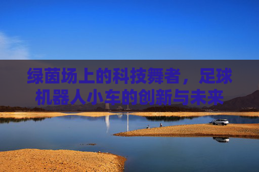 绿茵场上的科技舞者，足球机器人小车的创新与未来