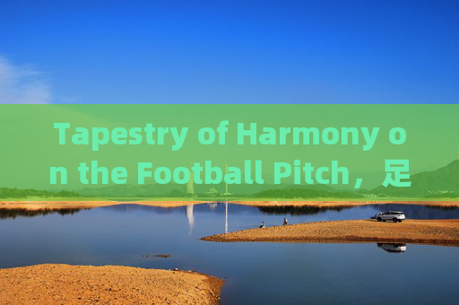 Tapestry of Harmony on the Football Pitch，足球场上的和谐织锦