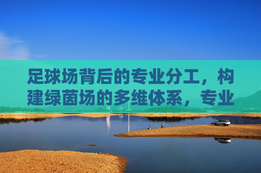 足球场背后的专业分工，构建绿茵场的多维体系，专业分工构建绿茵场多维体系