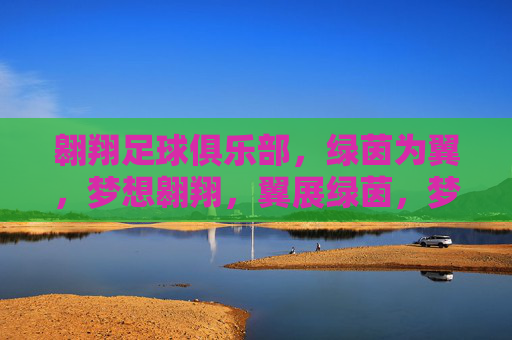 翱翔足球俱乐部,绿茵为翼,梦想翱翔,翼展绿茵,梦想翱翔 翱翔足球俱乐部,绿茵为翼,梦想翱翔,翼展绿茵,梦想翱翔