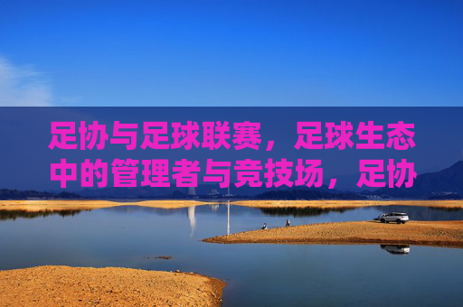 足协与足球联赛，足球生态中的管理者与竞技场，足协与足球联赛，足球生态中的管理者与竞技场