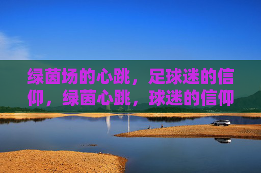 绿茵场的心跳，足球迷的信仰，绿茵心跳，球迷的信仰
