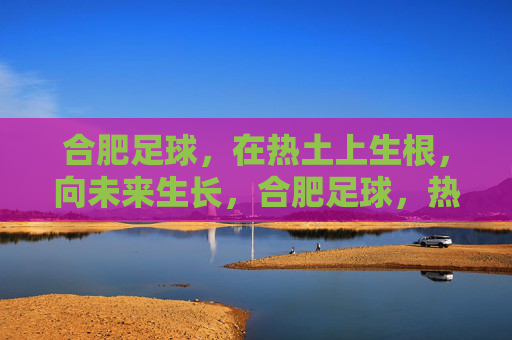 合肥足球，在热土上生根，向未来生长，合肥足球，热土生根，向未来生长
