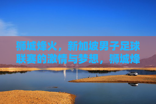 狮城烽火，新加坡男子足球联赛的激情与梦想，狮城烽火，新加坡男子足球联赛的激情与梦想