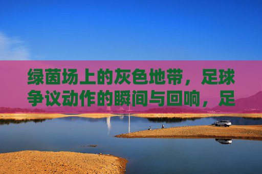 绿茵场上的灰色地带，足球争议动作的瞬间与回响，足球争议动作的灰色地带，瞬间与回响