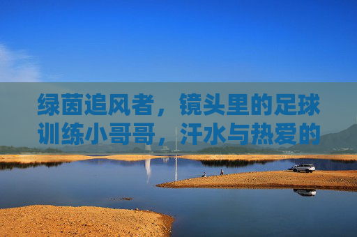 绿茵追风者,镜头里的足球训练小哥哥,汗水与热爱的双向奔赴,镜头追风,绿茵训练场,汗水热爱的双向奔赴 绿茵追风者,镜头里的足球训练小哥哥,汗水与热爱的双向奔赴,镜头追风,绿茵训练场,汗水热爱的双向奔赴