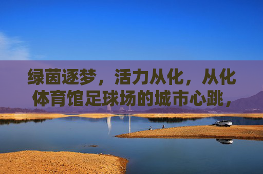 绿茵逐梦，活力从化，从化体育馆足球场的城市心跳，从化体育馆足球场，绿茵逐梦的城市心跳