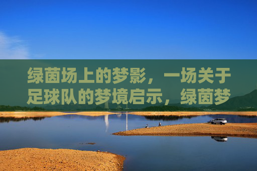 绿茵场上的梦影，一场关于足球队的梦境启示，绿茵梦影，足球队的启示