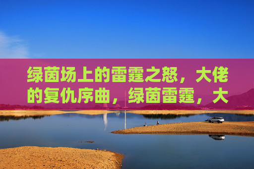 绿茵场上的雷霆之怒，大佬的复仇序曲，绿茵雷霆，大佬复仇序曲