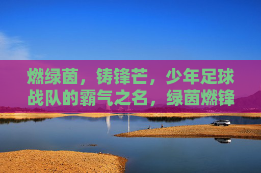 燃绿茵,铸锋芒,少年足球战队的霸气之名,绿茵燃锋芒,少年铸霸名 燃绿茵,铸锋芒,少年足球战队的霸气之名,绿茵燃锋芒,少年铸霸名
