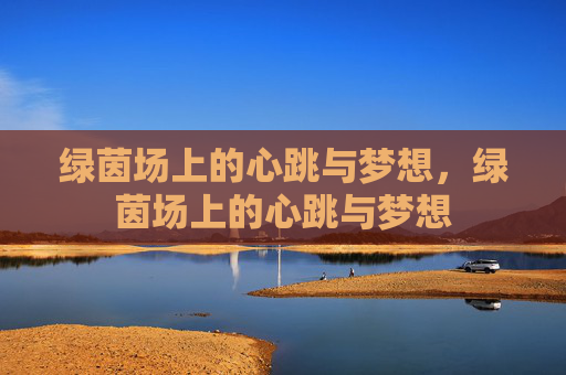 绿茵场上的心跳与梦想,绿茵场上的心跳与梦想 绿茵场上的心跳与梦想,绿茵场上的心跳与梦想