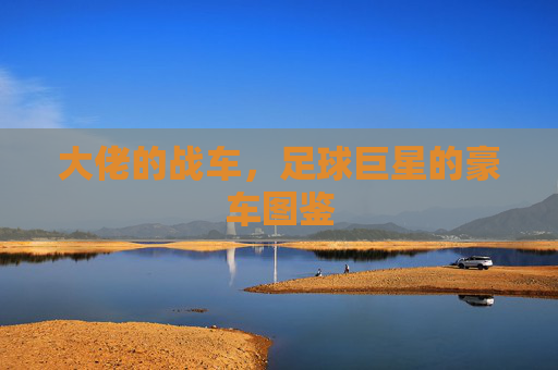 大佬的战车,足球巨星的豪车图鉴 大佬的战车,足球巨星的豪车图鉴