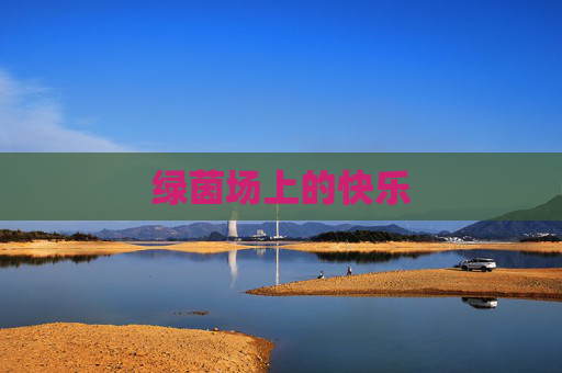 绿茵场上的快乐 绿茵场上的快乐