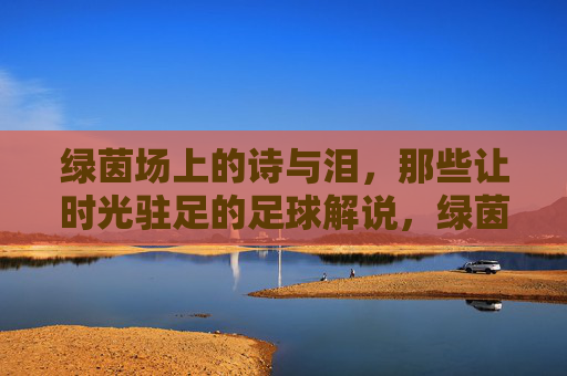 绿茵场上的诗与泪，那些让时光驻足的足球解说，绿茵诗泪，时光驻足的足球解说