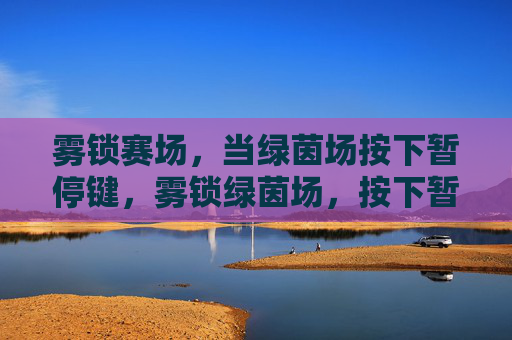 雾锁赛场，当绿茵场按下暂停键，雾锁绿茵场，按下暂停键