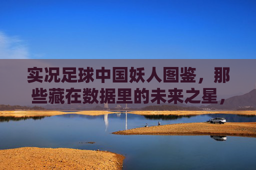 实况足球中国妖人图鉴，那些藏在数据里的未来之星，实况足球中国妖人图鉴，数据里的未来之星