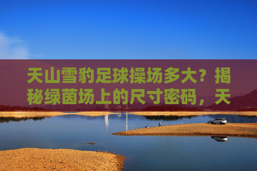 天山雪豹足球操场多大？揭秘绿茵场上的尺寸密码，天山雪豹足球操场尺寸揭秘
