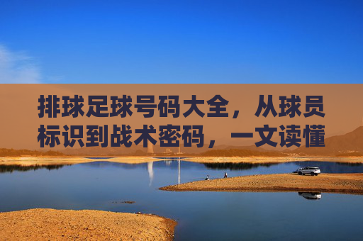 排球足球号码大全，从球员标识到战术密码，一文读懂关键信息，排球足球号码，从球员标识到战术密码的关键信息