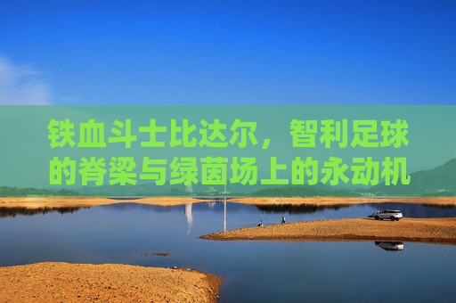 铁血斗士比达尔，智利足球的脊梁与绿茵场上的永动机，比达尔，智利足球的铁血脊梁与永动魂