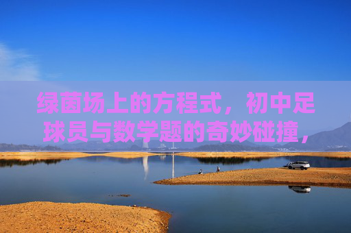 绿茵场上的方程式，初中足球员与数学题的奇妙碰撞，绿茵方程式，初中足球员与数学的奇妙碰撞